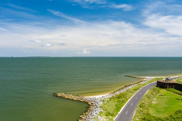 Quels sont les meilleurs spots pour la plongée avec les dauphins à Hawaï?